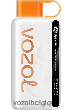 VOZOL STAR- 9000/12000 64P228 pêche, mangue, pastèque VOZOL vape shop