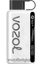 VOZOL STAR- 9000/12000 64P233 le tabac VOZOL vape belgique