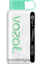 VOZOL STAR- 9000/12000 64P234 bubble-gum à la pastèque VOZOL vape