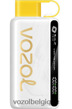 VOZOL STAR- 9000/12000 64P238 limonade cerise-pêche VOZOL vape shop