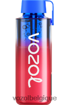 VOZOL NEON- 10000 64P2227 kiwi fraise surgelé VOZOL vape store