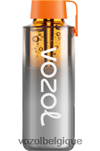 VOZOL NEON- 10000 64P2228 arc-en-ciel aigre VOZOL vape shop