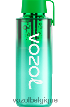 VOZOL NEON- 10000 64P2229 menthe de Miami VOZOL vape sale