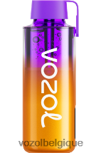 VOZOL NEON- 10000 64P2235 Baies mélangées VOZOL rechargeable