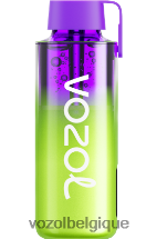 VOZOL NEON- 10000 64P2241 glace à la pastèque VOZOL belgique