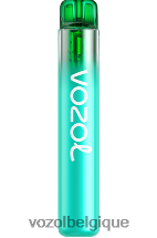 VOZOL NEON- 800 64P2246 myrtille, framboise aigre VOZOL vape avis