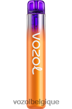 VOZOL NEON- 800 64P2253 pêche, mangue, pastèque VOZOL vape belgique