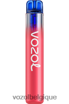 VOZOL NEON- 800 64P2256 glace à la fraise VOZOL vape avis