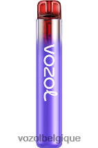 VOZOL NEON- 800 64P2258 vzbull VOZOL vape shop
