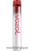 VOZOL NEON- 800 64P2259 bubble-gum à la pastèque VOZOL vape sale