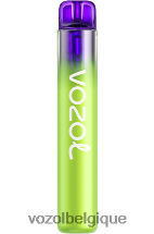 VOZOL NEON- 800 64P2260 glace à la pastèque VOZOL review
