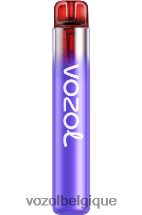 VOZOL NEON- 800 64P2265 citron bleu razz VOZOL rechargeable