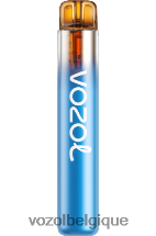 VOZOL NEON- 800 64P2270 tempête de baies forestières VOZOL review