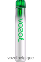 VOZOL NEON- 800 64P2274 mojito au citron VOZOL vape