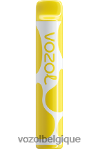VOZOL JOYGO- 600 64P2376 glace à la banane VOZOL vape avis
