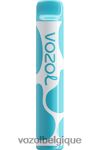 VOZOL JOYGO- 600 64P2377 myrtille, framboise aigre VOZOL vape store