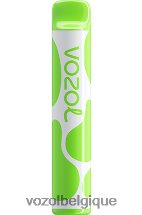 VOZOL JOYGO- 600 64P2380 double pomme VOZOL review