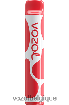VOZOL JOYGO- 600 64P2385 litchi goyave pastèque VOZOL rechargeable