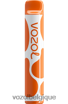 VOZOL JOYGO- 600 64P2386 glace à la mangue VOZOL vape avis