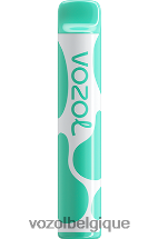 VOZOL JOYGO- 600 64P2387 menthol VOZOL vape store
