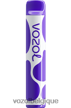 VOZOL JOYGO- 600 64P2388 Baies mélangées VOZOL vape shop