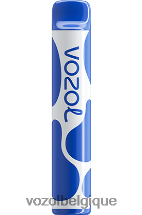 VOZOL JOYGO- 600 64P2390 tempête de bleuets VOZOL review