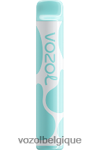 VOZOL JOYGO- 600 64P2391 bonbons arc-en-ciel VOZOL belgique