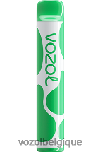 VOZOL JOYGO- 600 64P2395 glace à la pastèque VOZOL rechargeable