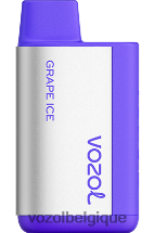 VOZOL TIGO- 600 64P2367 glace aux raisins VOZOL vape store