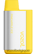 VOZOL TIGO- 600 64P2371 glace à l'ananas VOZOL belgique